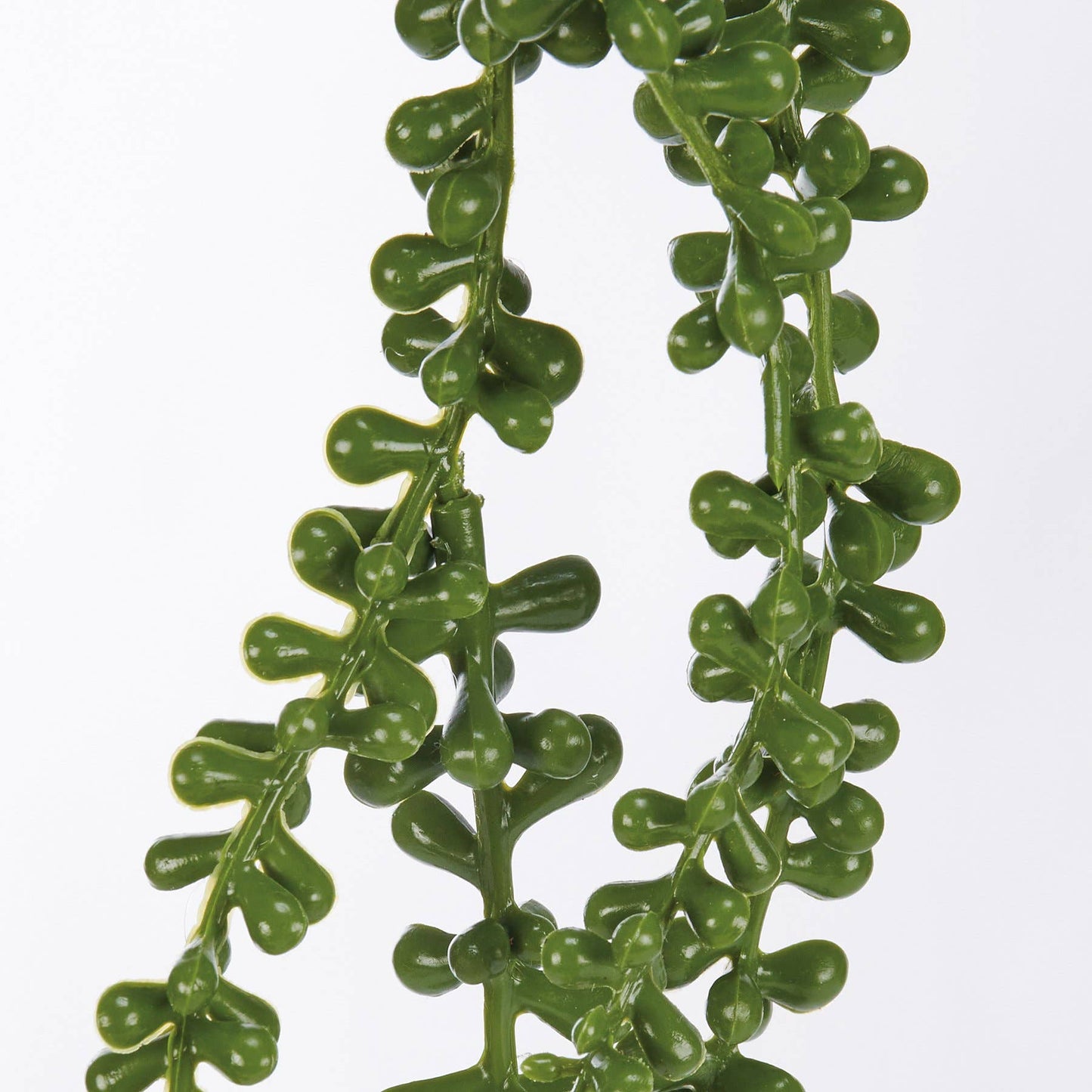 String Of Pearls Floral Pick