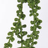 String Of Pearls Floral Pick