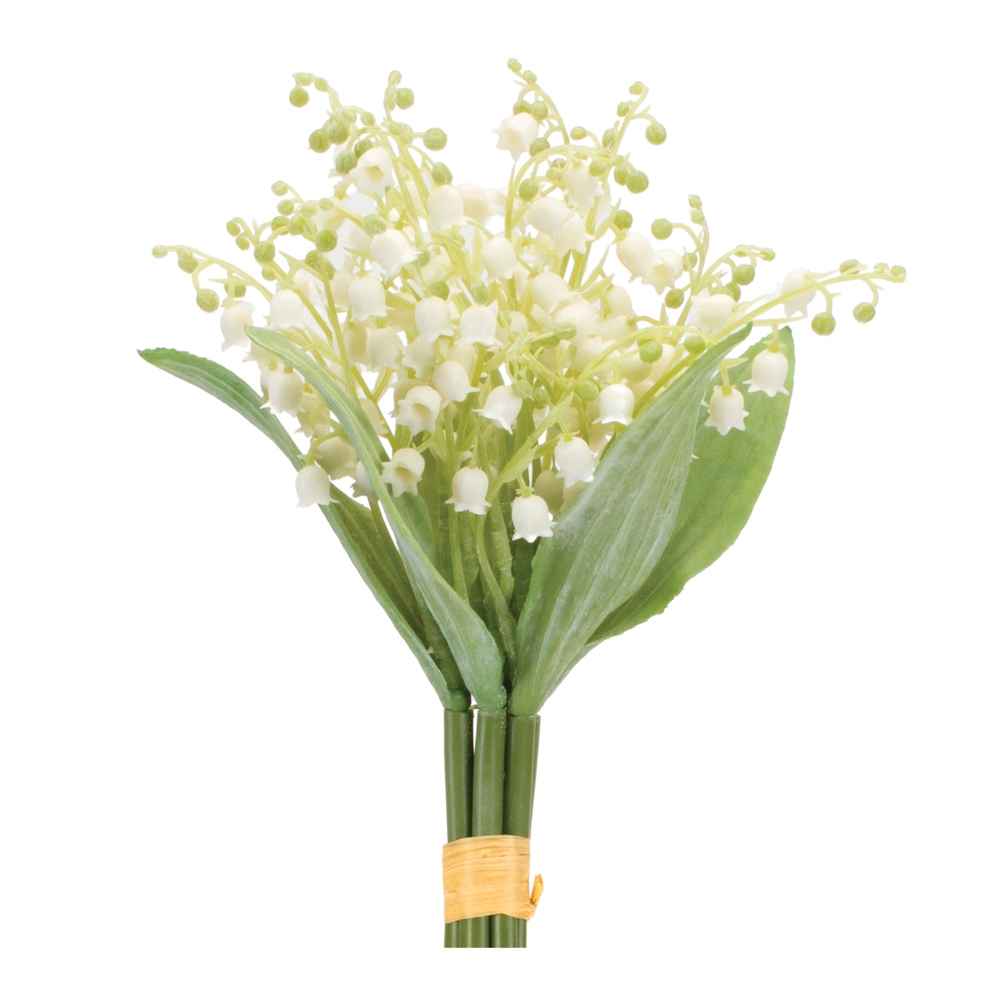 Lily of the Valley Bundle