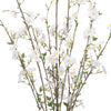 Spring Blossom Branch 35.5”