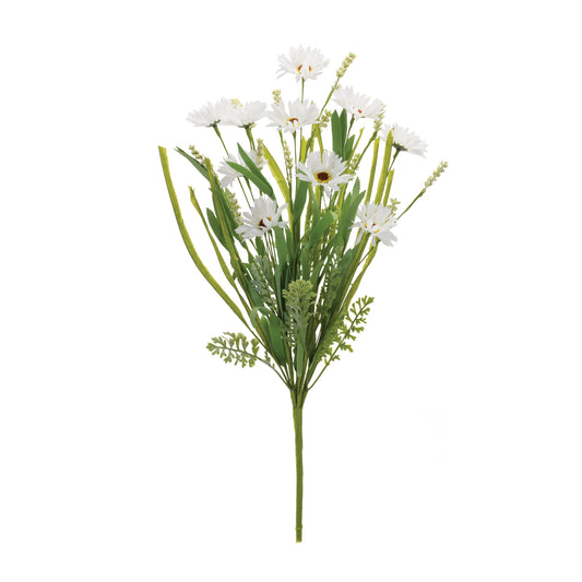 Mixed Daisy Bush