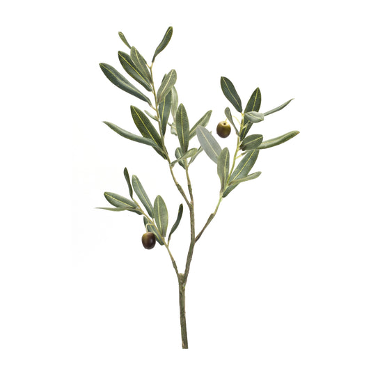 Olive Spray