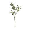 Olive Spray