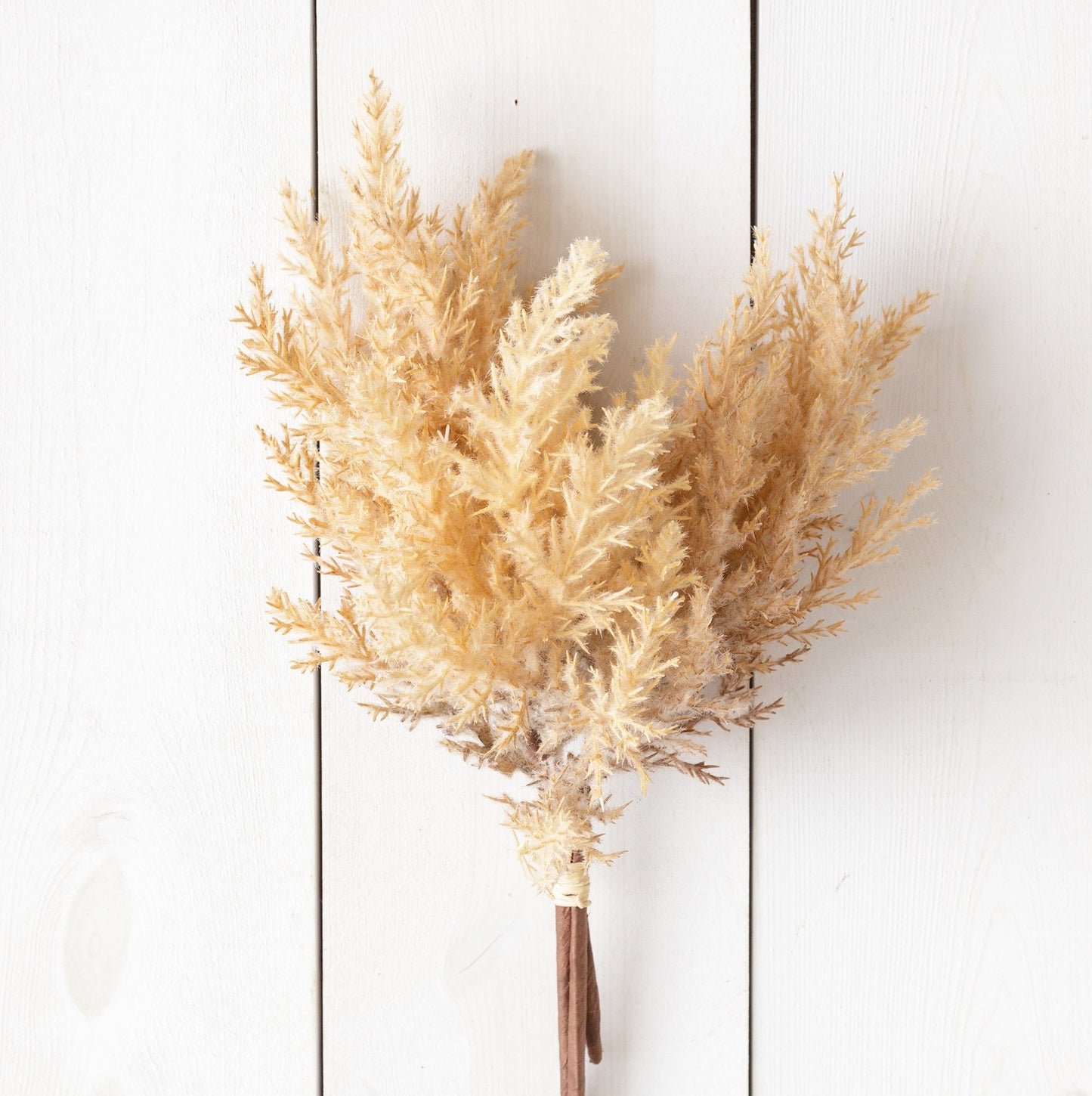 Beige Plumes Bunch